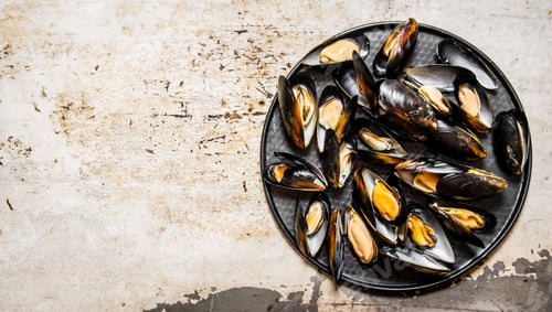 Preview: Clams on tray. On rustic background. Free space for text .