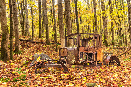Preview: Relic of an old Cadillac in the Great Smoky Mountains national park