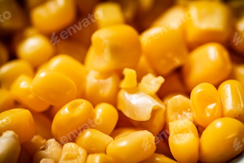 Preview: Grains of canned corn. Macro background.