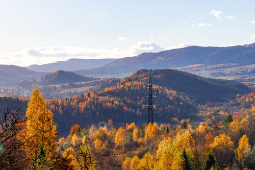 Preview: Electric pole in the autumn mountain forest
