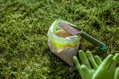 Preview: Fertilizer and working gloves on the grass