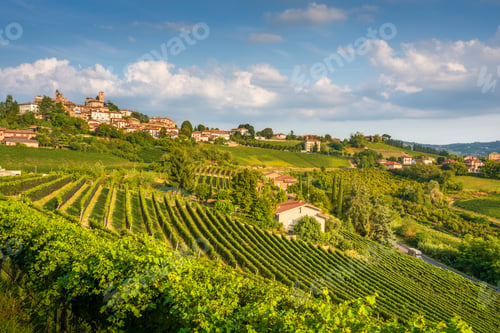 Preview: Neive Village and Lush Summer Vineyards in Langhe, Piedmont, Italy