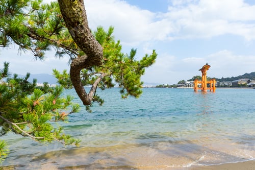 Preview: Floating Torii Gate