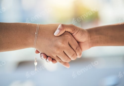 Preview: Handshake, agreement and shaking hands of people meeting for partnership or agreement together as t