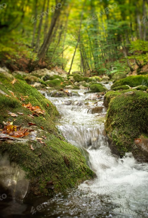 Preview: Spring rill flow.