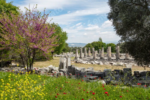Preview: Ruins of the ancient sanctuary Lagina, Turkey