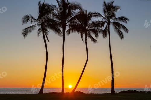Preview: Hawaiian beach