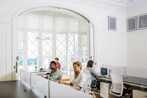 Preview: Business people working together in international office