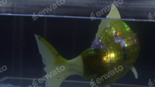 Preview: Robot fish in aquarium. HDR. Glowing and flashing fish in water. Floating cyber fish in aquarium