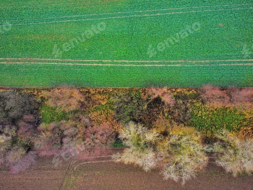 Preview: Drone shot of an autumn field