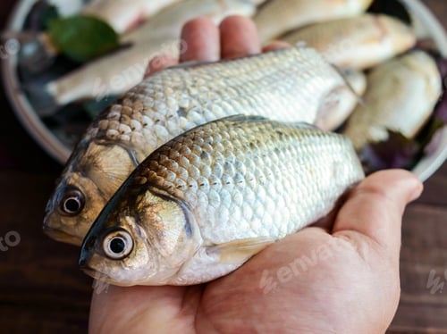 Preview: Hand holding a live fish (carp). Fresh catch. The top view.