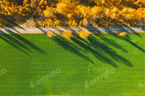 Preview: Aerial view of highway road through green field and autumn yellow forest landscape. Top view flat