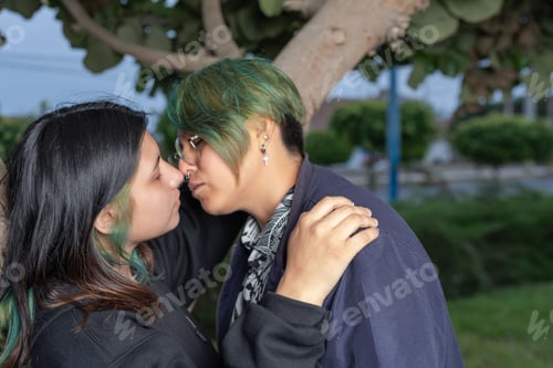 Preview: Lesbian couple embracing and kissing in a park
