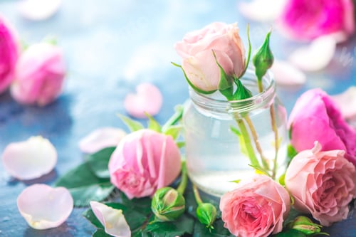 Preview: Glass bottles with pink peony roses on a light background with copy space. Feminine header with