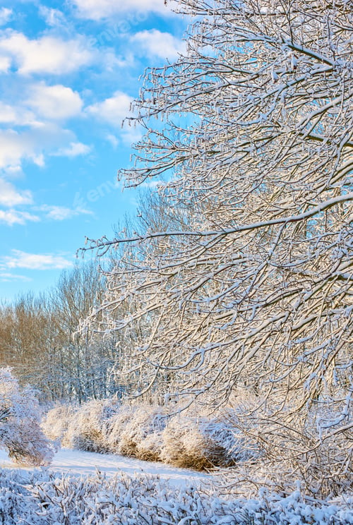 Preview: Wintertime
