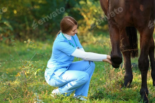 Preview: Veterinarian in uniform examining beautiful brown horse outdoors. Space for text