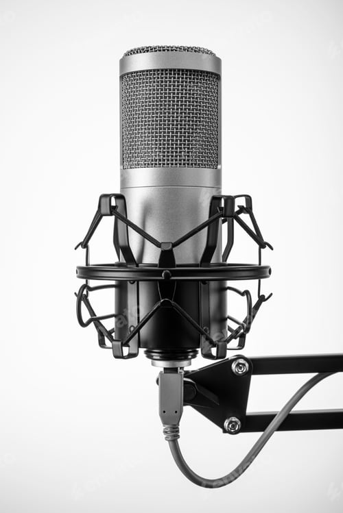 Preview: Condenser professional microphone on the stand.