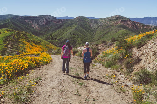 Preview: Women hiking in the mountains of the high desert among poppies on a sunny spring day