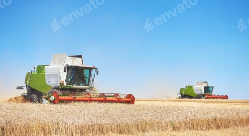 Preview: A few combines cutting a swath through the middle of a wheat field during harvest