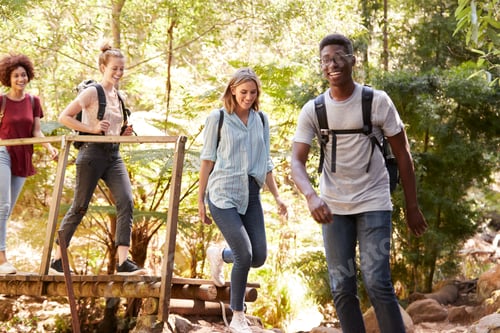 Preview: Young adult friends crossing a footbridge during a hike in a forest, full length