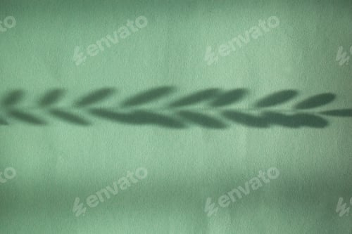 Preview: Shadow of leaf overlay on green background. Use for decorative product presentation.