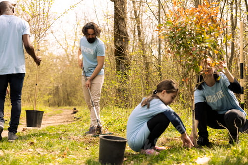 Preview: Male volunteers digging holes with a shovel to plant green trees