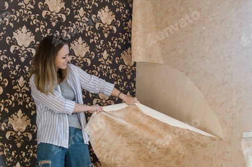 Preview: repair in the house, do-it-yourself redevelopment of housing