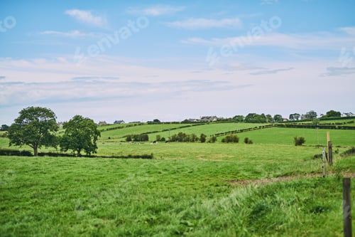 Preview: Open farmland