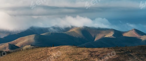 Preview: Tundra in Canada