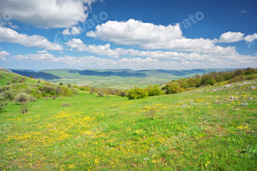 Preview: Mountain meadow and yellow flower at day.