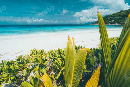 Preview: Beautiful beach Anse Intendance at Seychelles, Mahe. Vintage vibes