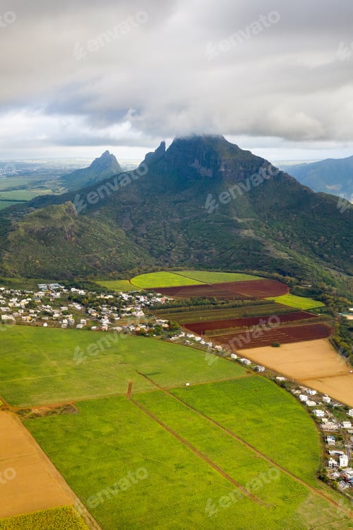 Preview: View from the height of the sown fields located on the island of Mauritius