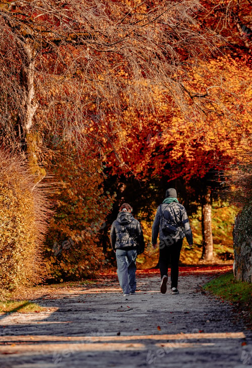 Preview: Rear view of a couple hiking in park with beautiful autumn colors