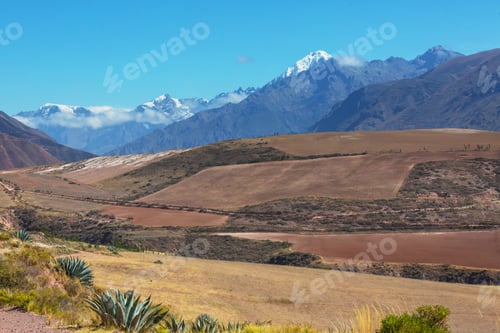 Preview: Fields in Peru