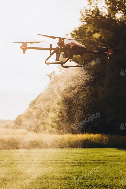 Preview: Agriculture drone spraying water fertilizer on the sunflower field.