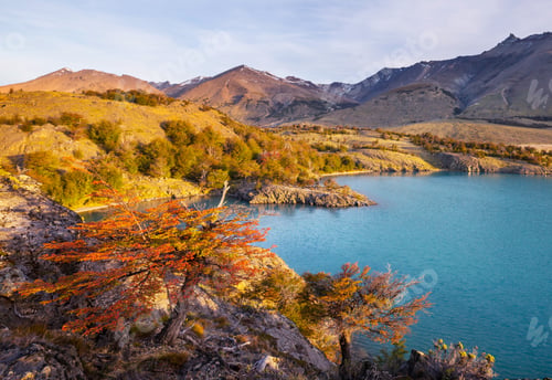 Preview: Autumn in Patagonia