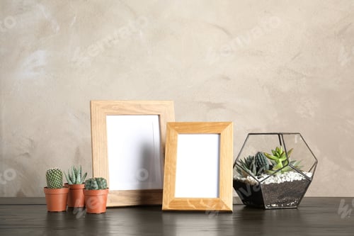 Preview: Succulent plants and photo frames on table near color wall, space for design. Home decor