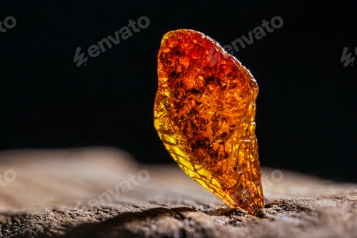 Preview: Natural amber. A piece of yellow transparent natural amber on large piece of dark stoned wood.