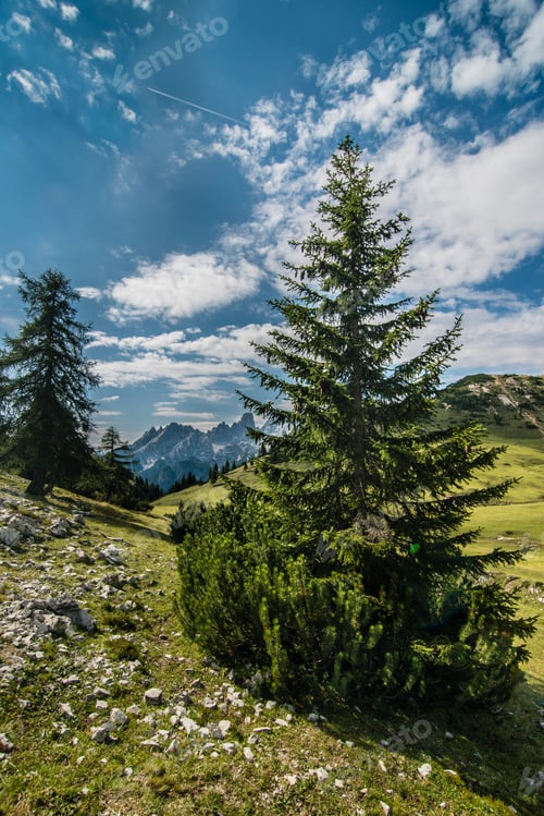Preview: Panoramic view of Alps mountains