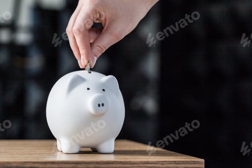 Preview: Inserting a coin into a piggy bank