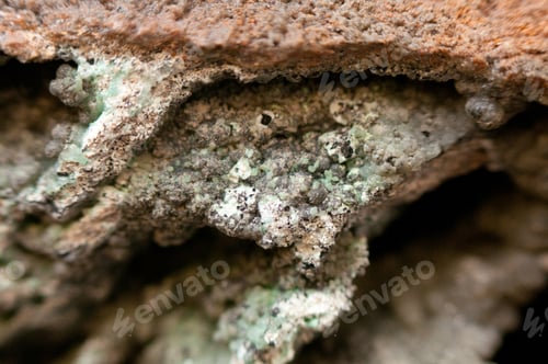 Preview: smithsonite mineral sample