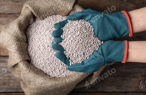 Preview: Woman with handful of fertilizer over bag on wooden table, top view. Horticulture and gardening