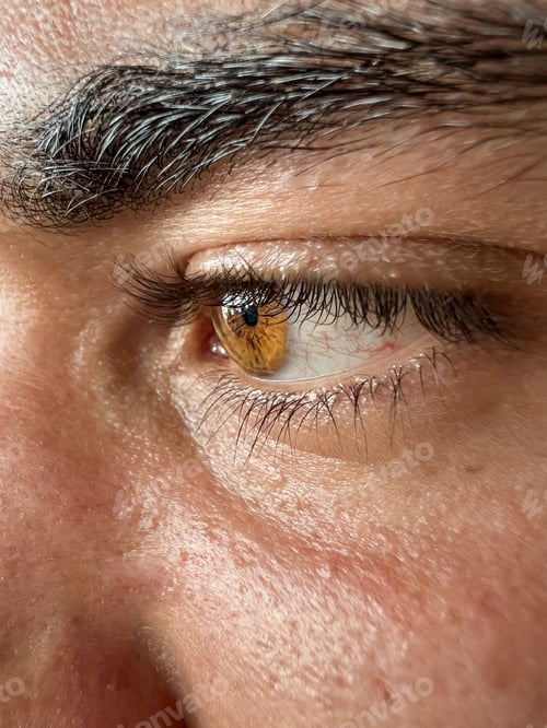 Preview: Glowing brown male eye with black eyebrow
