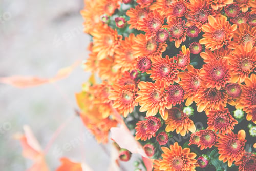 Preview: flowers