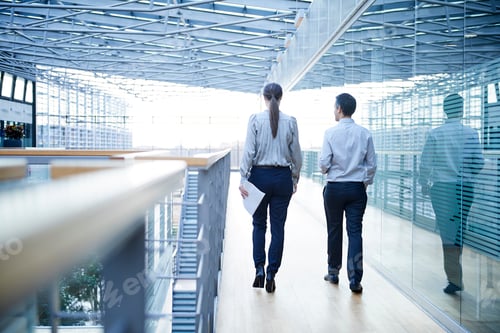 Preview: Rear view of businessman and woman walking on office balcony