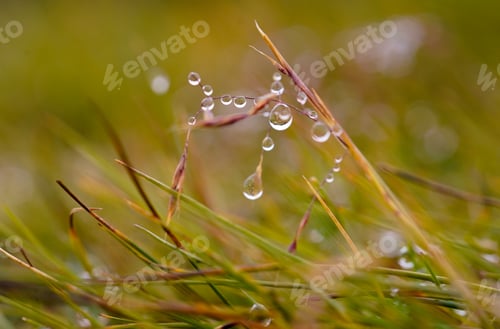 Preview: Macro drop