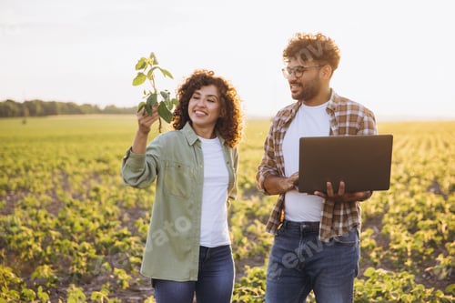 Preview: Agronomists examining soybean plants and using laptop in cultivated field