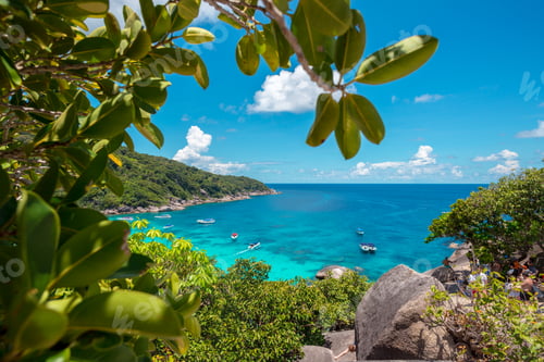 Preview: Clear water and boats in bay surrounded by green trees and rocks at midday