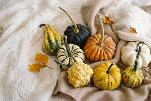 Preview: Multicolored pumpkins and dry autumn leaves on wooden background.