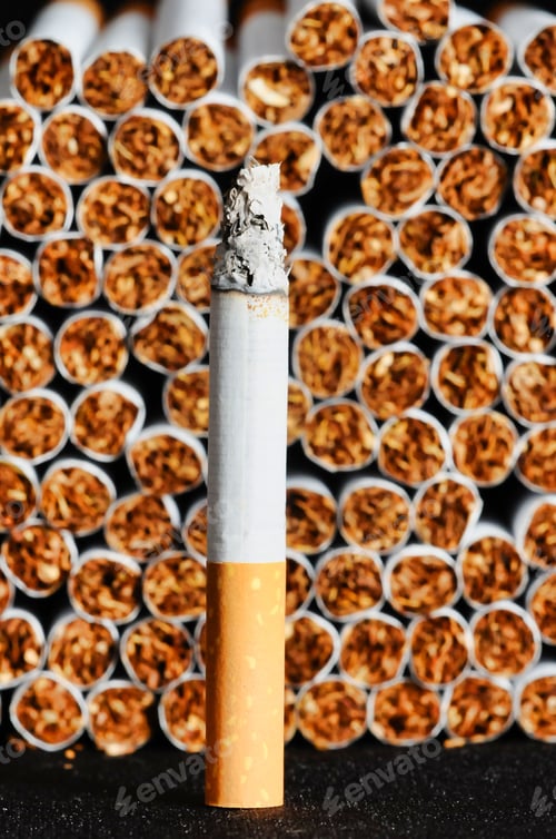 jr's tobacco outlet north carolina JR CIGAR OUTLET - BURLINGTON - Updated July 2026 - 104 Photos & 77 Reviews - 2589 Eric Ln, Burlington, North Carolina - Tobacco Shops - Phone Number